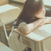 大全118彩色厍图印刷风凰艺术